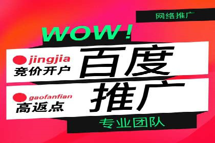 百度竞价成功案例解析